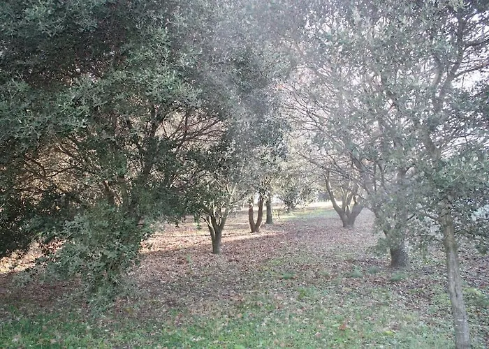 Prázdninový dům De Tranzy La Baume-de-Transit