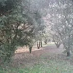 Σπίτι διακοπών De Tranzy La Baume-de-Transit