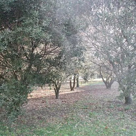Σπίτι διακοπών De Tranzy La Baume-de-Transit